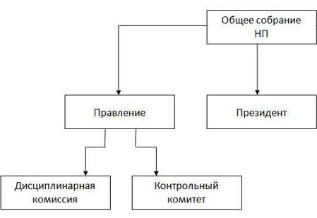 Структура НП